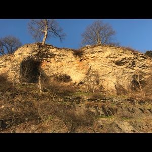 Meet your Posher, Ben